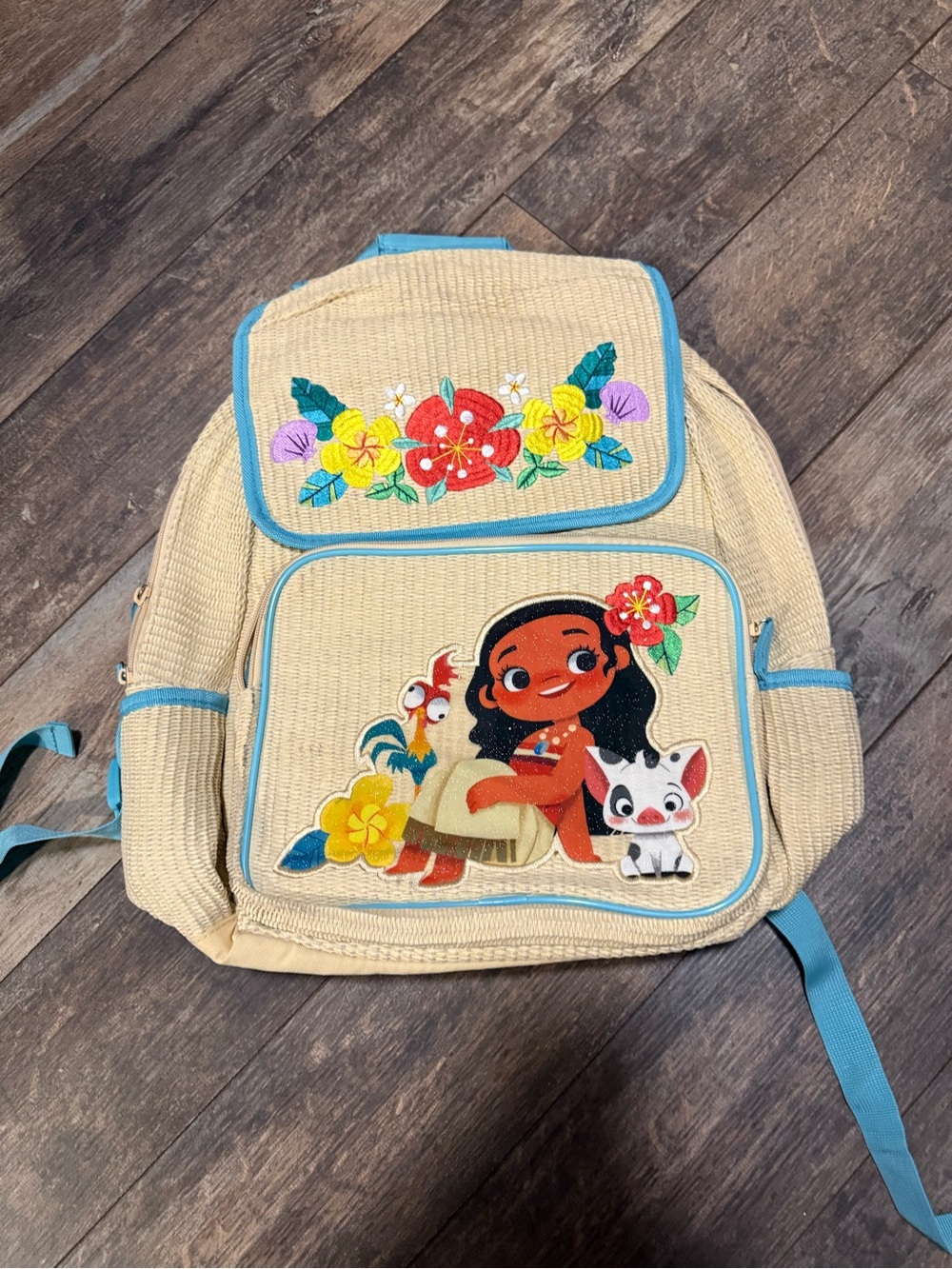 Disney Moana Bag